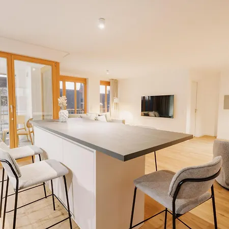 Apartment 88 Qm - Exklusiv & Angebunden - Werse Loft By Youpartments